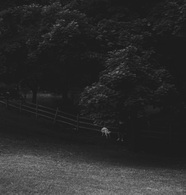 lacwithrow.ca